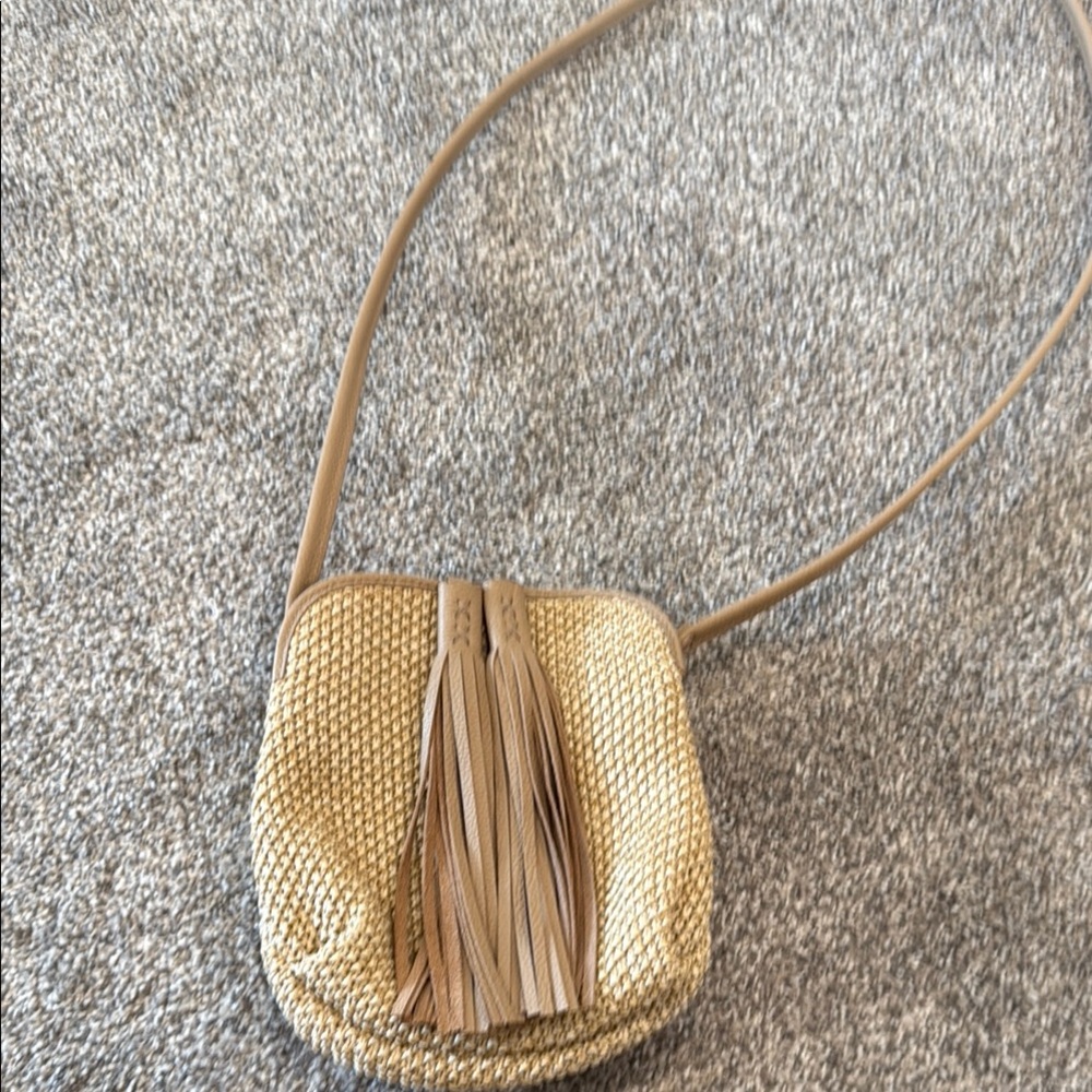 Tan and Gold Crossbody Bag with Tassels